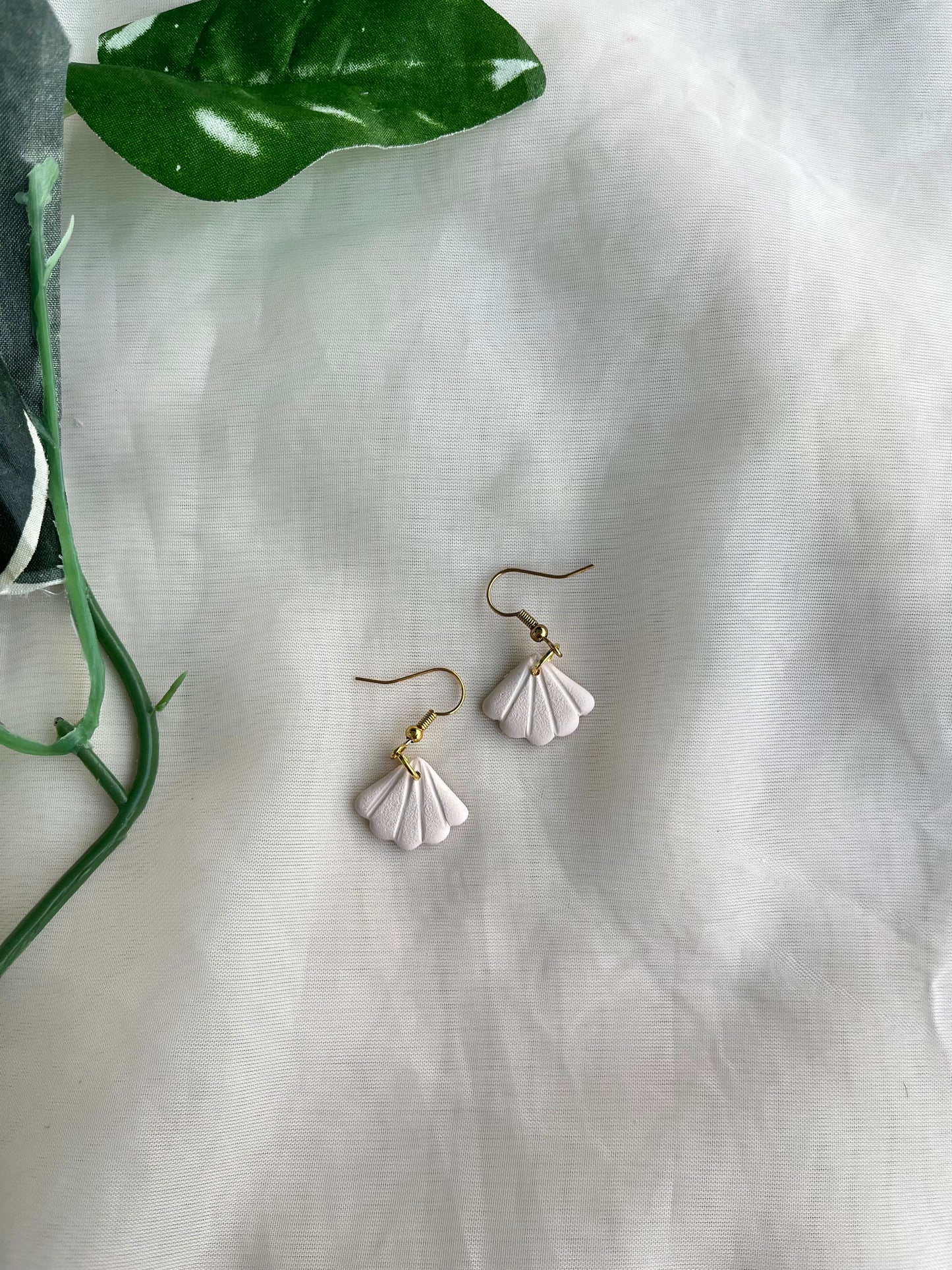 Seashell earrings